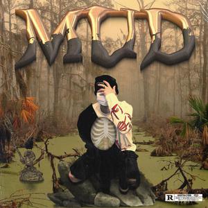 欧美⭕⭕⭕⭕XX高清国视频
