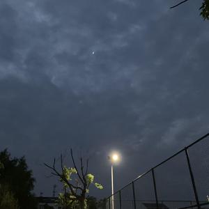 欧美⭕⭕⭕⭕XX高清国视频
