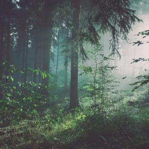 欧美⭕⭕⭕⭕XX高清国视频
