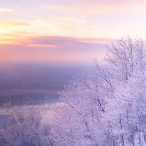 欧美⭕⭕⭕⭕XX高清国视频
